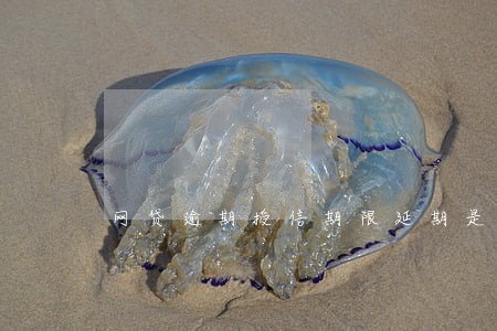 网贷逾期授信期限延期是什么意思 网贷逾期授信期限延期是什么意思