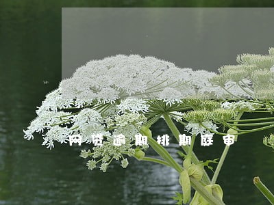 网贷逾期排期庭审 网贷逾期排期庭审
