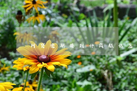 网贷逾期接到仲裁短信怎么办 网贷逾期接到仲裁短信怎么办