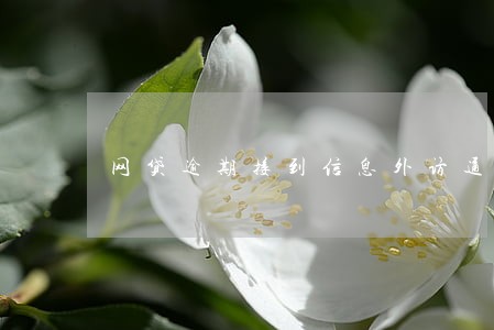 网贷逾期接到信息外访通知真的吗 网贷逾期接到信息外访通知真的吗