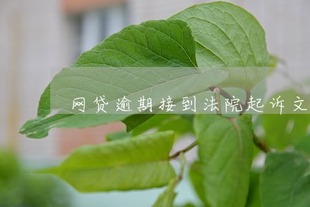 网贷逾期接到法院起诉文书 网贷逾期接到法院起诉文书
