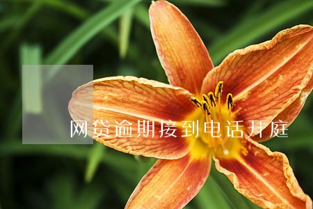 网贷逾期接到电话开庭 网贷逾期接到电话开庭