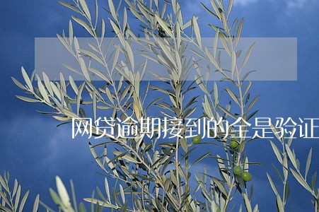 网贷逾期接到的全是验证码