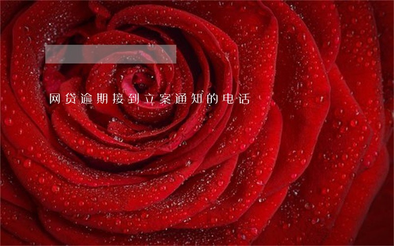 网贷逾期接到立案通知的电话