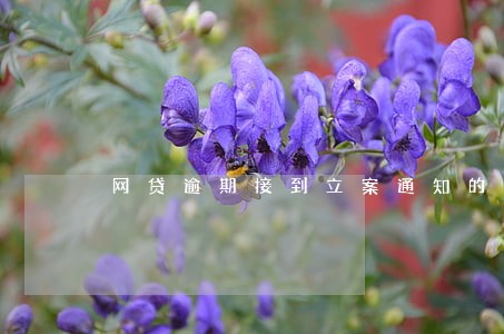 网贷逾期接到立案通知的短信 网贷逾期接到立案通知的短信