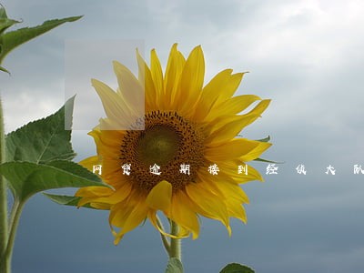 网贷逾期接到经侦大队电话 网贷逾期接到经侦大队电话