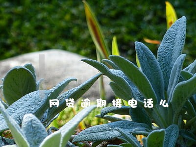 网贷逾期接电话么 网贷逾期接电话么