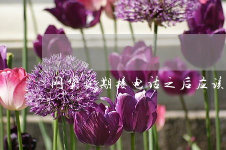 网贷逾期接电话之后应该怎么说 网贷逾期接电话之后应该怎么说