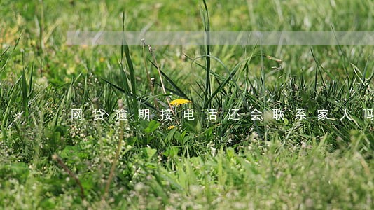 网贷逾期接电话还会联系家人吗 网贷逾期接电话还会联系家人吗