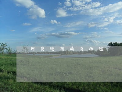 网贷逾期提交法院 网贷逾期提交法院
