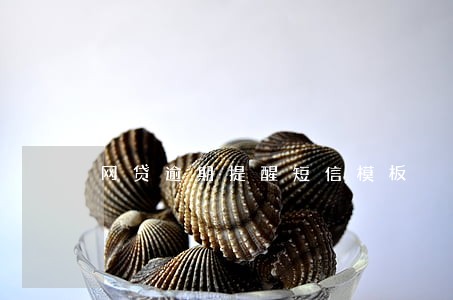 网贷逾期提醒短信模板 网贷逾期提醒短信模板