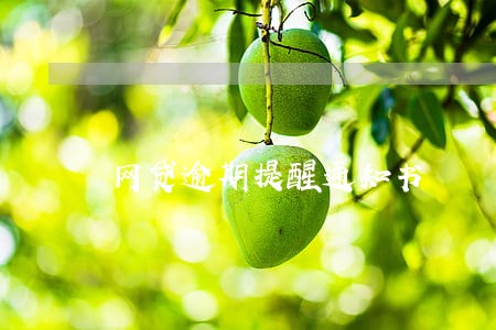 网贷逾期提醒通知书 网贷逾期提醒通知书