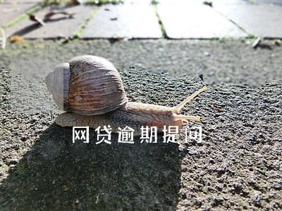 网贷逾期提问 网贷逾期提问