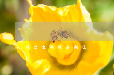 网贷逾期提高颜值 网贷逾期提高颜值