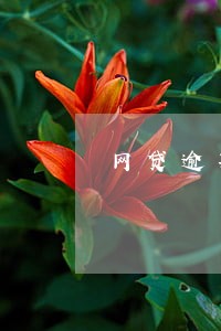 网贷逾期搞笑照片