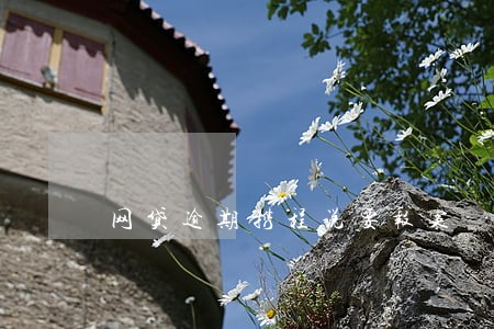 网贷逾期携程说要报案