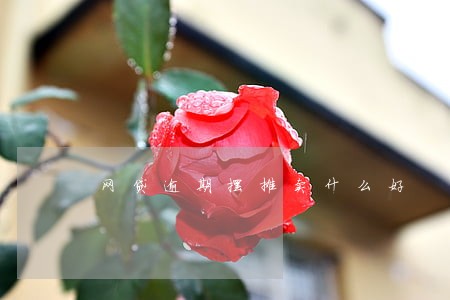 网贷逾期摆摊卖什么好
