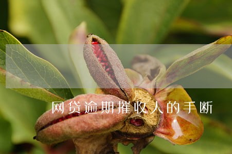 网贷逾期摧收人的手断 网贷逾期摧收人的手断