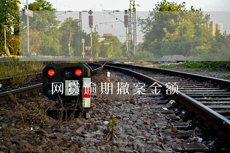 网贷逾期撤案金额 网贷逾期撤案金额