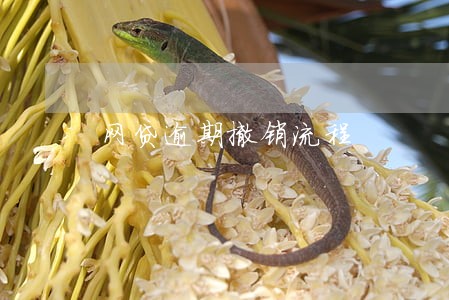 网贷逾期撤销流程 网贷逾期撤销流程