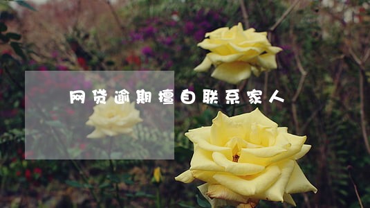 网贷逾期擅自联系家人 网贷逾期擅自联系家人