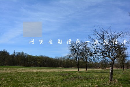 网贷逾期攒钱一次性结清可行吗 网贷逾期攒钱一次性结清可行吗