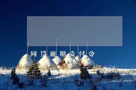 网贷逾期支付令 网贷逾期支付令
