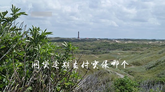 网贷逾期支付宝保哪个 网贷逾期支付宝保哪个