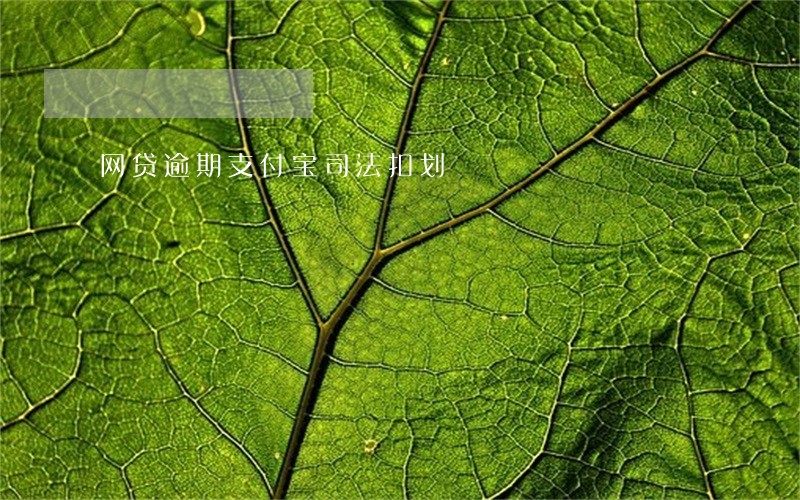 网贷逾期支付宝司法扣划 网贷逾期支付宝司法扣划