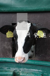 网贷逾期支付宝微信冻结 网贷逾期支付宝微信冻结