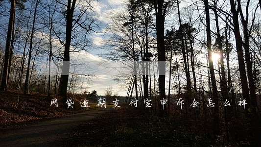 网贷逾期支付宝申诉会怎么样 网贷逾期支付宝申诉会怎么样