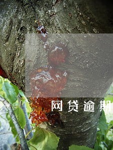 网贷逾期支付宝能使用吗 网贷逾期支付宝能使用吗