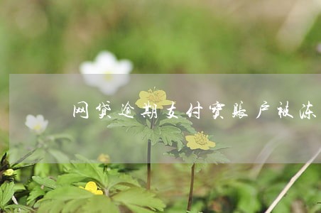 网贷逾期支付宝账户被冻结