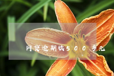 网贷逾期收500多元 网贷逾期收500多元