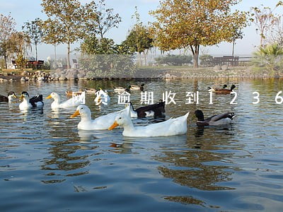 网贷逾期收到12368信息