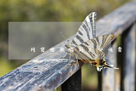 网贷逾期收到2份传票 网贷逾期收到2份传票