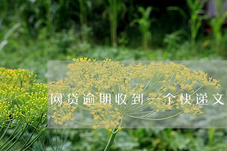 网贷逾期收到一个快递文件 网贷逾期收到一个快递文件