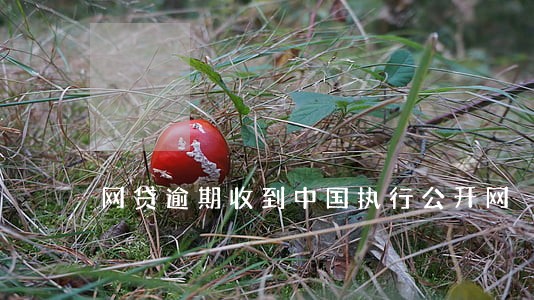 网贷逾期收到中国执行公开网 网贷逾期收到中国执行公开网
