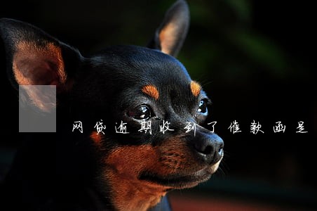 网贷逾期收到了催款函是真的吗 网贷逾期收到了催款函是真的吗
