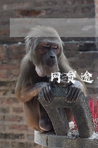 网贷逾期收到什么律师的短信 网贷逾期收到什么律师的短信