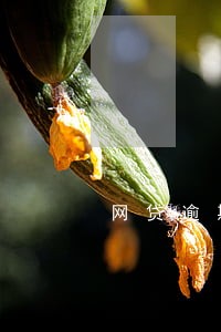 网贷逾期收到仲裁信息 网贷逾期收到仲裁信息