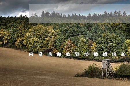 网贷逾期收到仲裁短信和诉讼告知 网贷逾期收到仲裁短信和诉讼告知