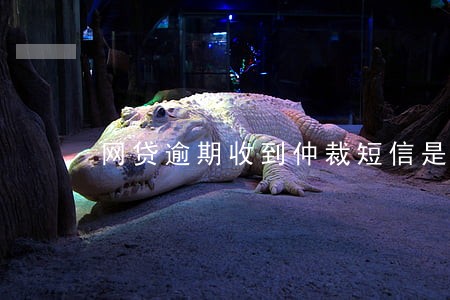 网贷逾期收到仲裁短信是真的吗 网贷逾期收到仲裁短信是真的吗