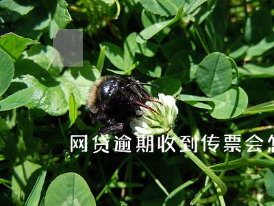 网贷逾期收到传票会怎样 网贷逾期收到传票会怎样