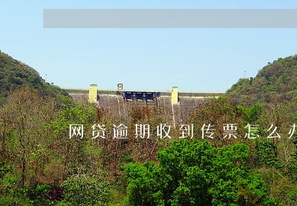 网贷逾期收到传票怎么办