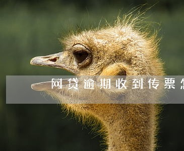 网贷逾期收到传票怎么协商 网贷逾期收到传票怎么协商