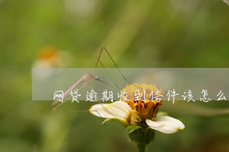 网贷逾期收到信件该怎么处理 网贷逾期收到信件该怎么处理