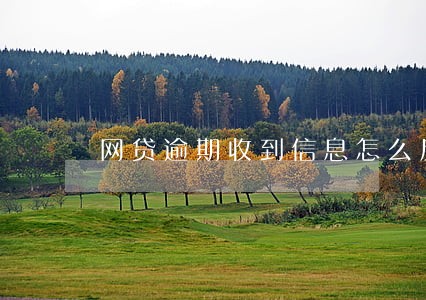 网贷逾期收到信息怎么反击