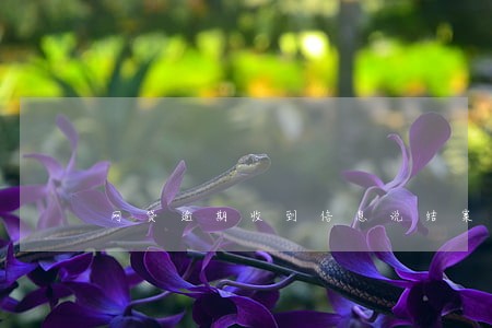 网贷逾期收到信息说结案通知 网贷逾期收到信息说结案通知