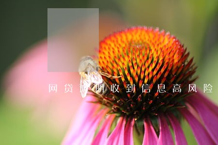 网贷逾期收到信息高风险调查 网贷逾期收到信息高风险调查